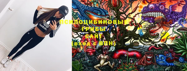 mix Горнозаводск