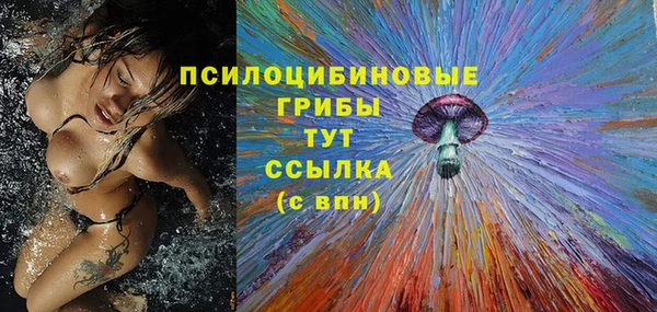 меф Гусев