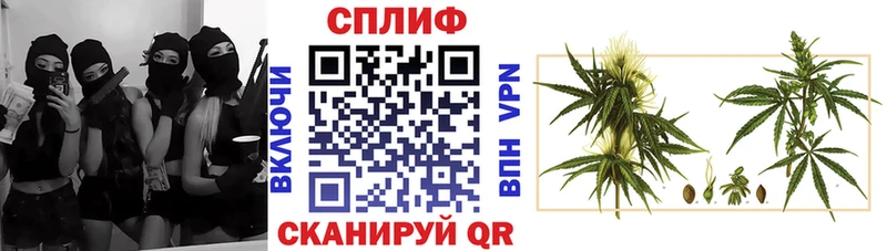 Купить  Наро-Фоминск  Бошки Шишки индика 
